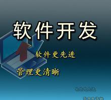 【開發定制】財務管理軟件,企業管理軟件,ERP系統,OA系統
