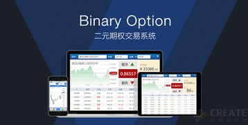 新型投資助手火爆上線 二元期權交易軟件開發平臺