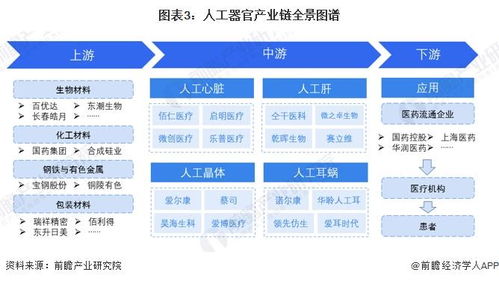 預見2024 2024年中國人工器官行業全景圖譜 附市場現狀 競爭格局和發展趨勢等